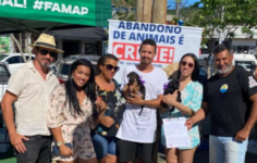 adocao-responsavel:18-animais-sao-adotados-em-feira-de-doacao