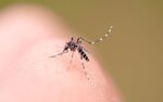 tijucas-investiga-primeira-possivel-morte-por-dengue